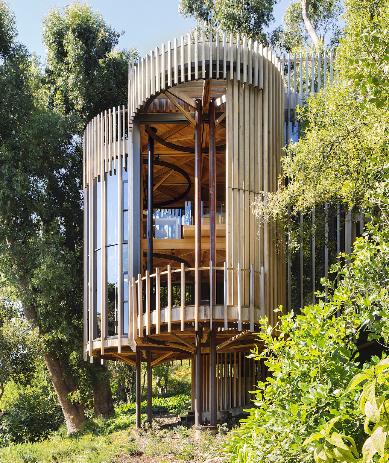 Tree House Constantia by Malan Vorster Architecture in Cape Town, South Africa